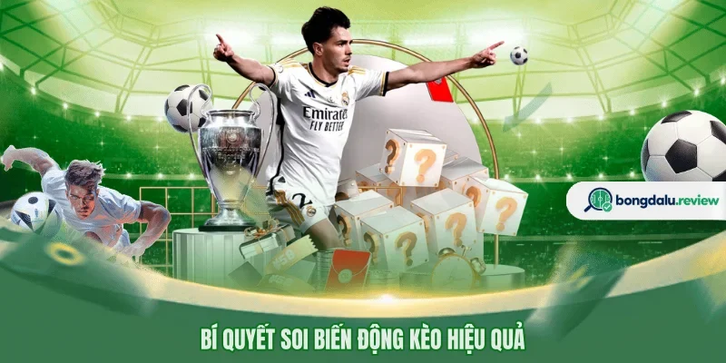 Bí quyết soi biến động kèo hiệu quả