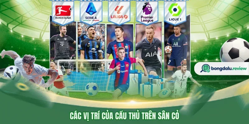 Các vị trí của cầu thủ trên sân cỏ 