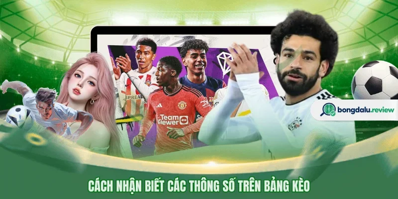 Cách nhận biết các thông số trên bảng kèo 