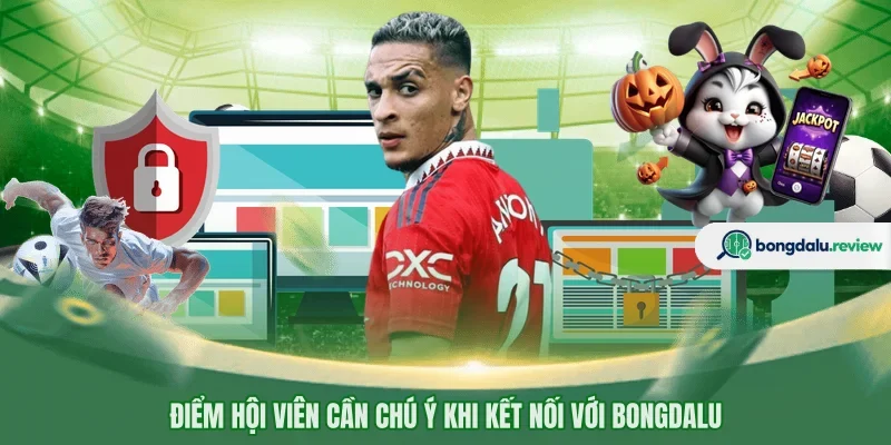 Điểm hội viên cần chú ý khi kết nối với BONGDALU 