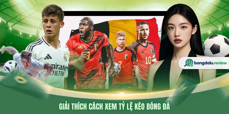 Giải thích cách xem tỷ lệ kèo bóng đá 