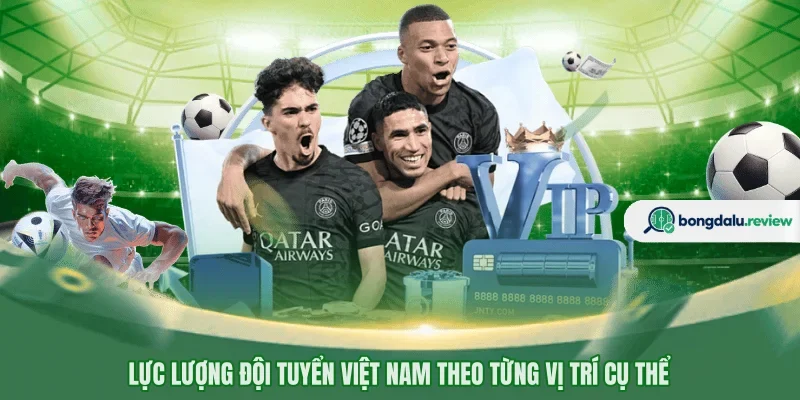 Lực lượng đội tuyển Việt Nam theo từng vị trí cụ thể