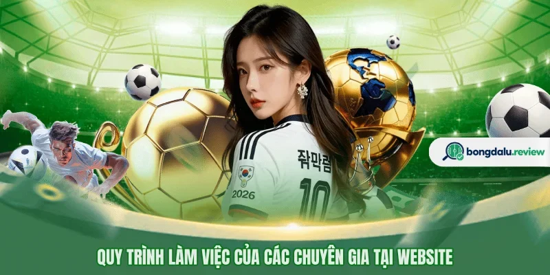 Quy trình làm việc của các chuyên gia tại website