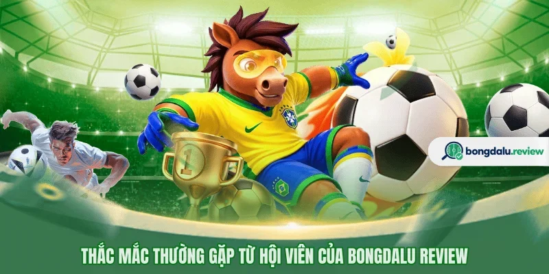 Thắc mắc thường gặp từ hội viên của BONGDALU review