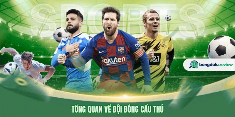 Tổng quan về đội bóng cầu thủ 