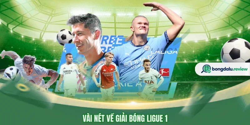 Vài nét về giải bóng Ligue 1